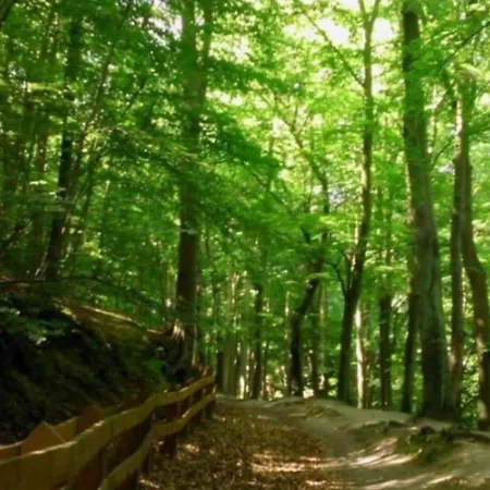 U Anny ホームステイ グディニャ