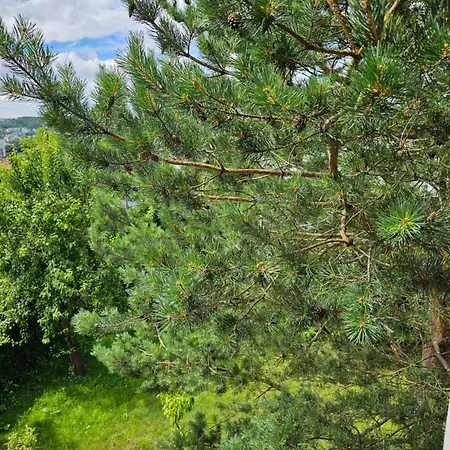 U Anny ホームステイ *